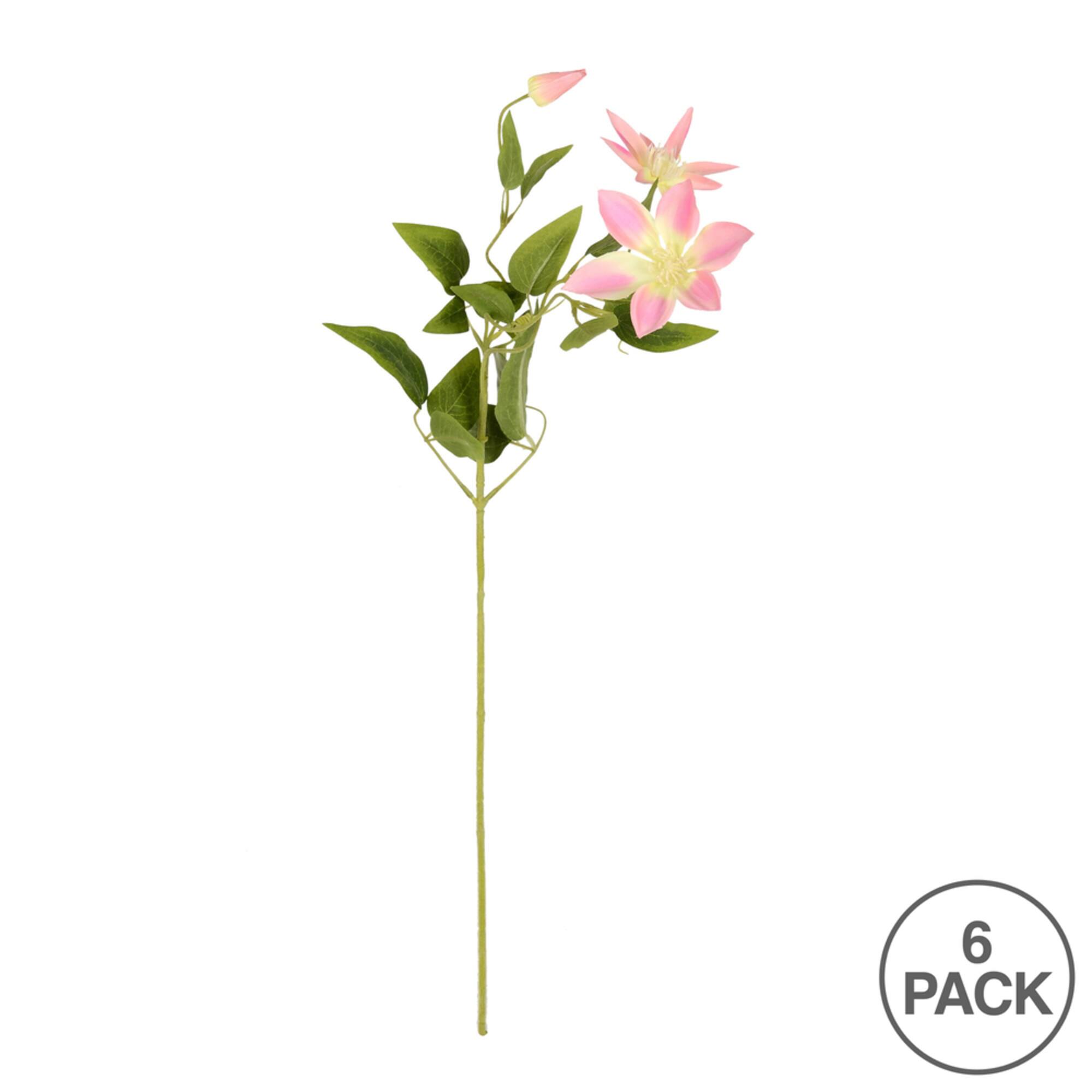 Pink Clematis Stem, 6ct.